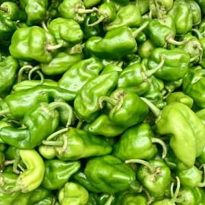 Padron Peppers