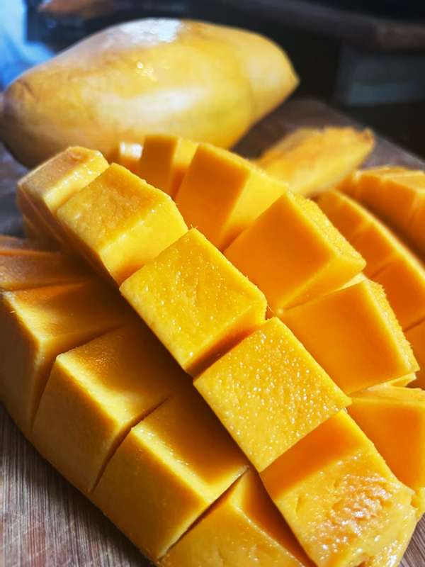 Buy Mallika Mangoes in Bangalore – Farm Fresh from Magic Farms