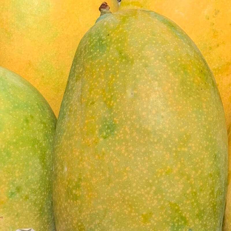 Mango - Mallika - Image 3